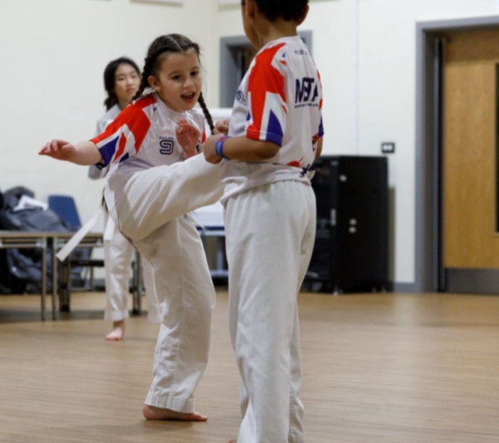 MSTA Taekwondo Academy